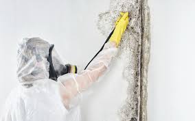 Best Forensic Mold Investigation  in Toppenish, WA